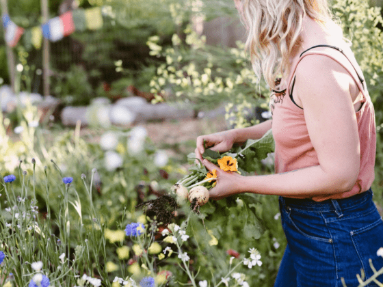 Solara Goldwynn of Hatchet & Seed