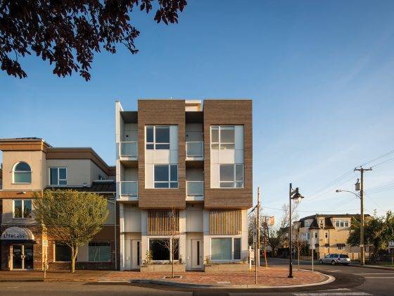 Japanese Inspiration - Spruce Summer Issue 2022