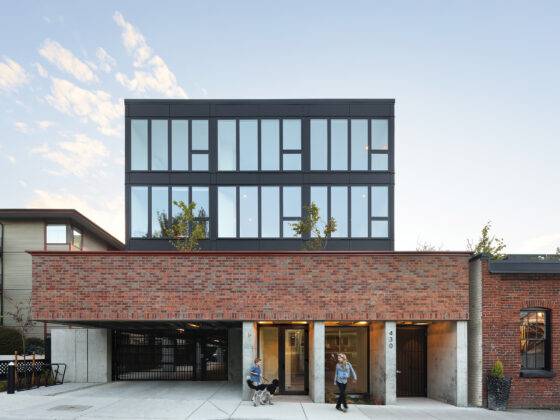 Filling it in - Spruce Sping Issue 2023