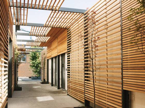 A Design Festival of Delights