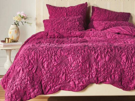 Colour the season pink - Spruce Fall 2023