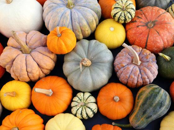 Spruce tips - Oct 20