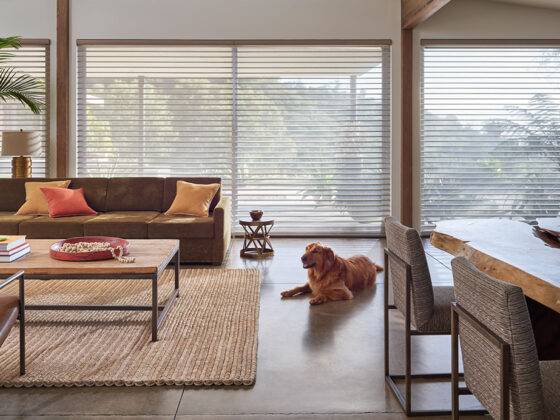 Dressed to Impress - Spruce Fall Issue 2023