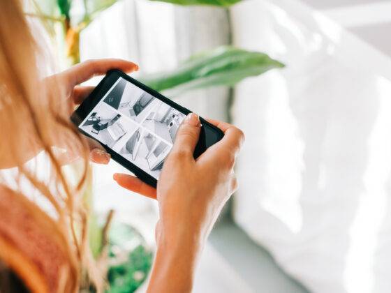 Spruce tips Nov 24th