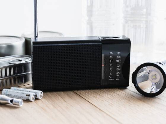 Spruce tips - Nov 17th