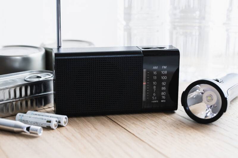 Spruce tips - Nov 17th