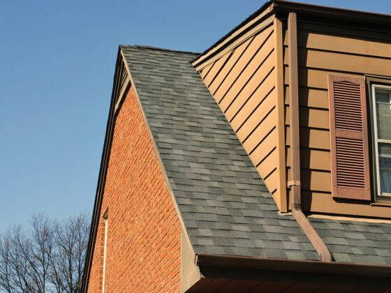 The Winter-Proof Roof Spruce Winter Issue - 2023/2024