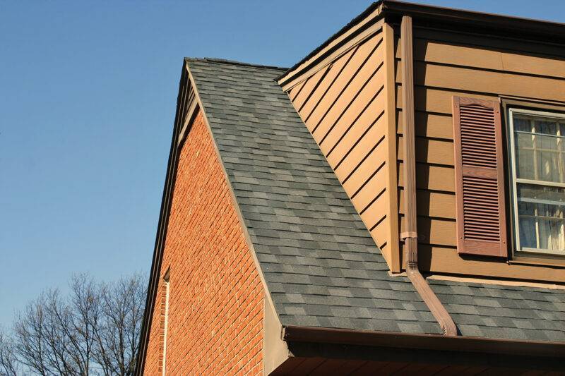 The Winter-Proof Roof Spruce Winter Issue - 2023/2024