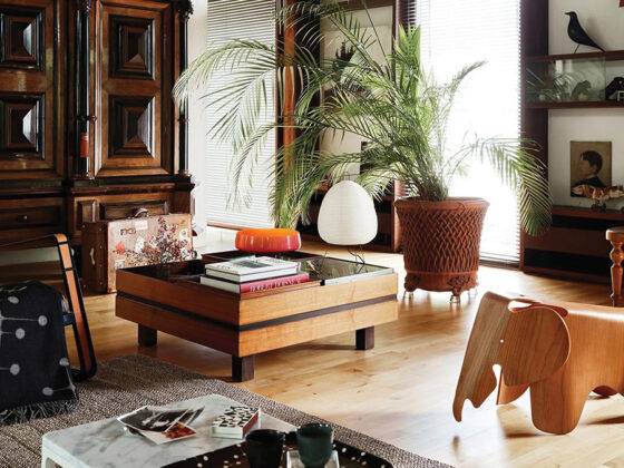 Personal Effects: Tiny touches bring more life to your home - Spruce Winter Issue 2023/2024