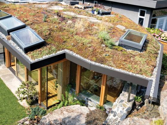 THE GROWING APPEAL OF GREEN ROOFS - Spruce 'Make the Most of Summer' - Summer 2024