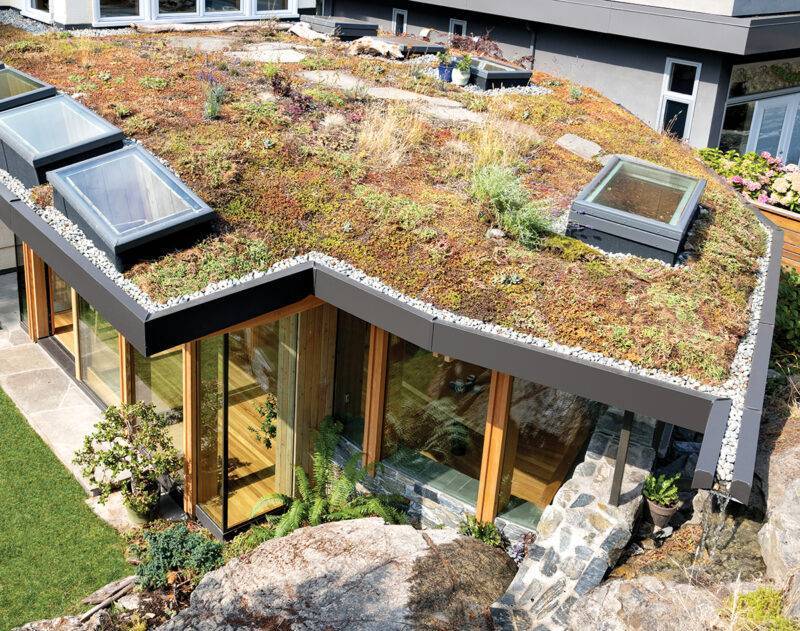 THE GROWING APPEAL OF GREEN ROOFS - Spruce 'Make the Most of Summer' - Summer 2024