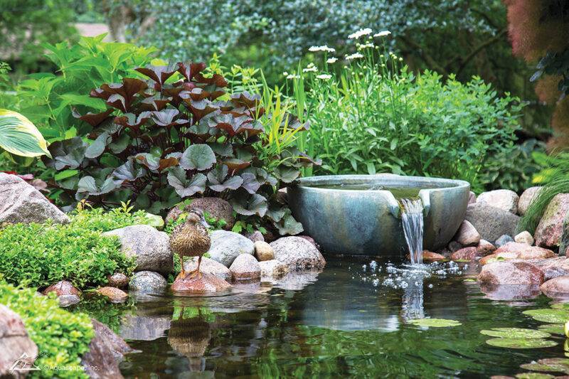 Experts say the negative ions created from rushing water — as in this Ecosystem Pond from Aquascapes — can shift our environment and our mood.