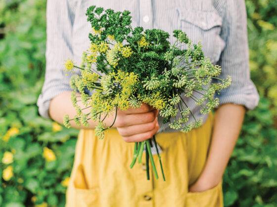 Edible Additions - Spruce ‘Make the Most of Summer’ - Summer 2024