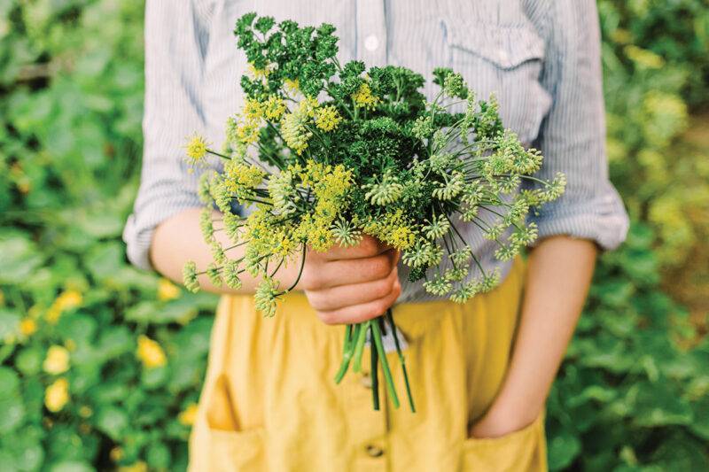 Edible Additions - Spruce ‘Make the Most of Summer’ - Summer 2024