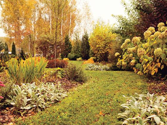 Winterize your garden this fall