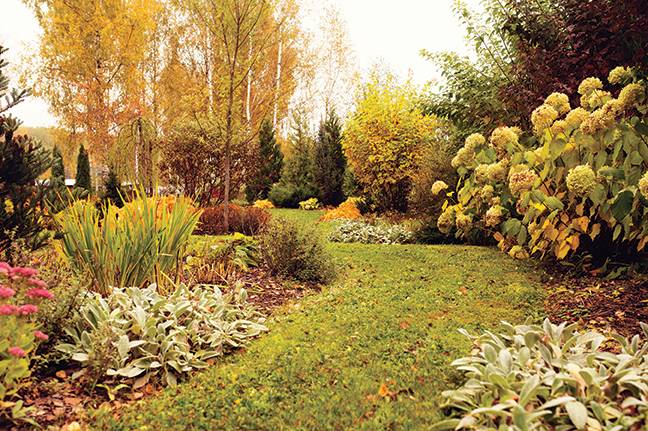 Winterize your garden this fall