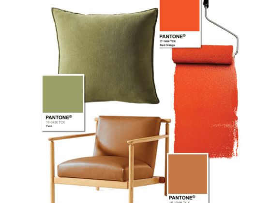 Fall 2024 colours: tomato cream, fern, and red orange