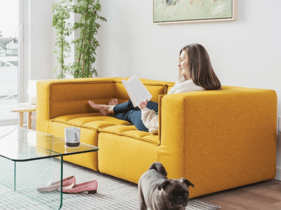 Rethinking Renting Options