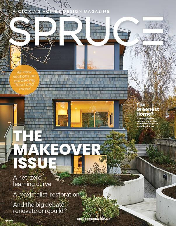 Renovate or Rebuild Guide